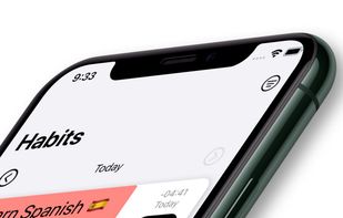 Leap Habits screenshot 1