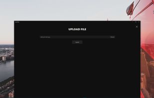 Leap Share screenshot 2