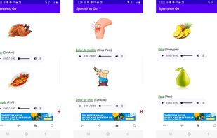 Spanish to Go screenshot 3