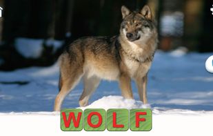 Learn to Read & Save Animals screenshot 2