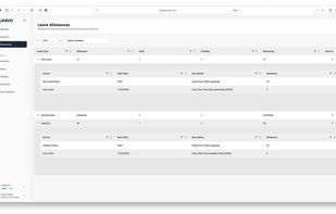 Balances per employee and per year