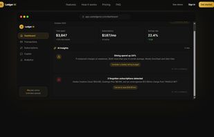 Ledger AI screenshot 1