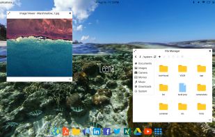Leena Desktop screenshot 1