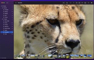 Lenscape screenshot 1