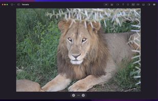 Lenscape screenshot 1