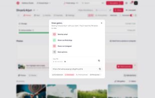 Share one private link by email, WhatsApp or Instagram. Clients need only the PIN.