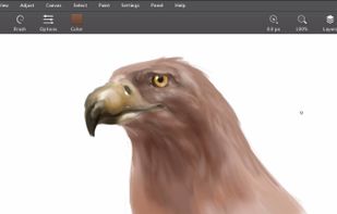 Leonardo screenshot 1