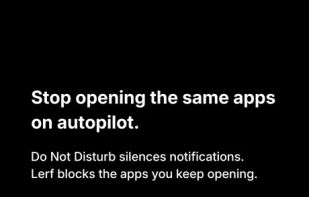 Lerf: App Blocker screenshot 1