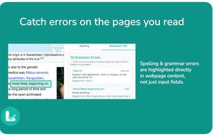 LexiLint screenshot 1