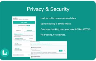 LexiLint screenshot 1