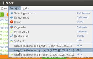 Libcsdbg screenshot 1