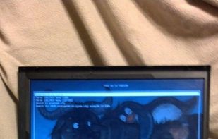 Libreboot screenshot 2