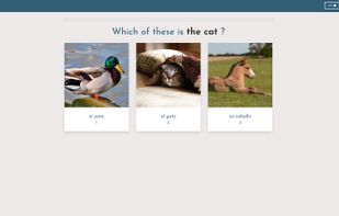 LibreLingo screenshot 1