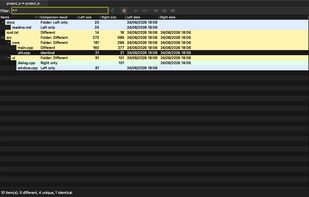 Folder comparison with expandable tree, per-side sizes and dates, filters, and copy/delete operations between sides.