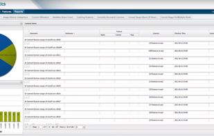 current license usage report