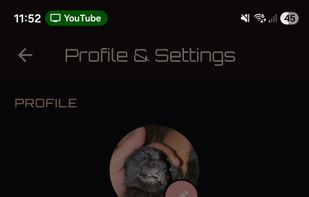 Lifeline: Journey screenshot 1