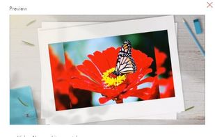 LightMV screenshot 3