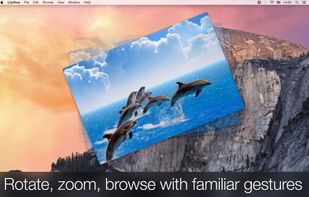 LilyView screenshot 2