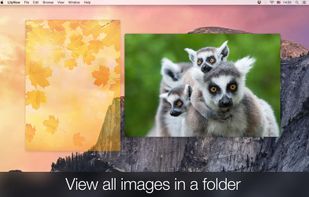 LilyView screenshot 1