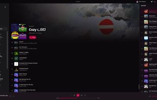 Limusic screenshot 1