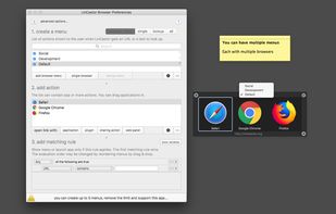 LinCastor Browser screenshot 2
