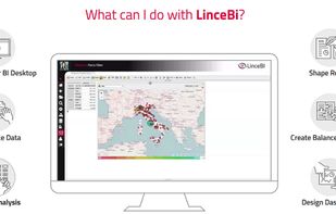 LinceBI screenshot 3