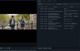 Editor: every line next to the original, with timings and the video preview.