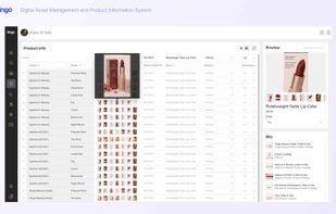 Products inside Lingo's product catalog