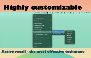 LingoBar screenshot 3