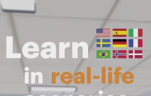 LingoLooper screenshot 1