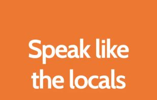 LingoLooper screenshot 1