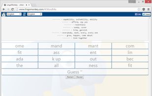 LingoMonkey screenshot 2