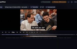 LinguaMiner screenshot 3