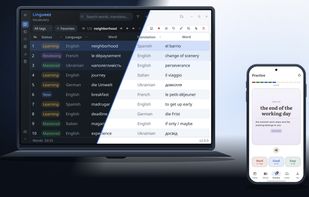 Light or dark, your choice — and your vocabulary syncs with the Lingueez Mobile app, so practice goes wherever you do.