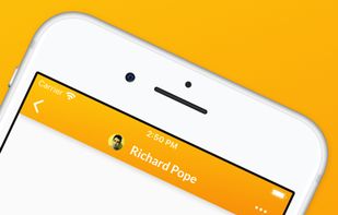 Linguistic screenshot 1