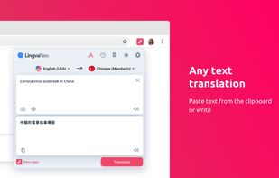 Lingvanex Translator screenshot 1