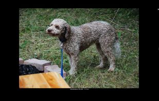 Click on any image to see it in full screen mode.