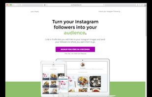 Link in Profile screenshot 1