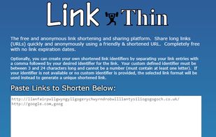 Link Thin screenshot 1