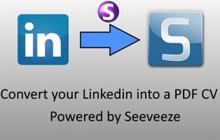 Linkedin to PDF screenshot 1