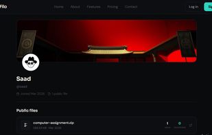 LinkFilo screenshot 2