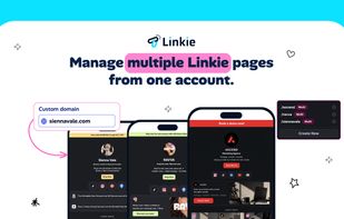 Linkie screenshot 1