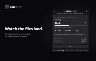 LinkUnzip screenshot 2