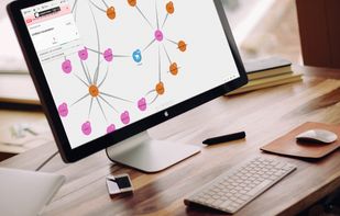 Explore and make sense of graph data through Linkurious Enterprise simple web-based interface. 