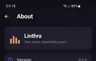 Linthra screenshot 2