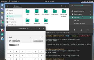 Linux Kamarada screenshot 1