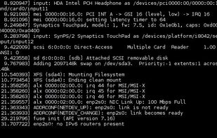 Linux-libre screenshot 1