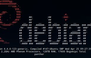 linuxlogo screenshot 3