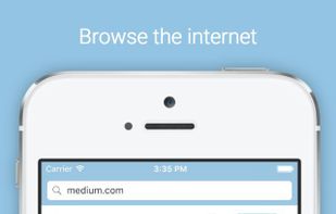 Lion Browser screenshot 1