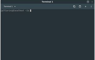 Liri Terminal screenshot 1